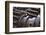 Gears I-Brian Moore-Framed Photographic Print