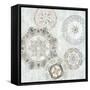 Gears II-Edward Selkirk-Framed Stretched Canvas