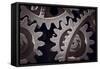 Gears Number 1-Steve Gadomski-Framed Stretched Canvas