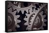 Gears Number 1-Steve Gadomski-Framed Stretched Canvas