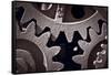 Gears Number 2-Steve Gadomski-Framed Stretched Canvas