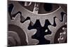 Gears Number 2-Steve Gadomski-Mounted Photographic Print