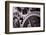 Gears Number 3-Steve Gadomski-Framed Photographic Print