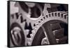 Gears Number 3-Steve Gadomski-Framed Stretched Canvas