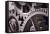 Gears Number 3-Steve Gadomski-Framed Stretched Canvas