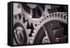 Gears Number 3-Steve Gadomski-Framed Stretched Canvas