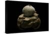 Geastrum Sp. (Earthstar)-Paul Starosta-Stretched Canvas