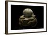 Geastrum Sp. (Earthstar)-Paul Starosta-Framed Photographic Print