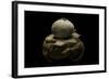 Geastrum Sp. (Earthstar)-Paul Starosta-Framed Photographic Print