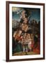 Geburt Christi-Lucas Cranach d.Ä.-Framed Giclee Print