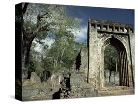 Gedi Ruins, Malindi, Kenya, East Africa, Africa-Upperhall-Stretched Canvas