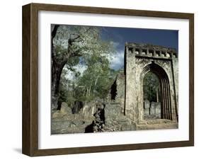 Gedi Ruins, Malindi, Kenya, East Africa, Africa-Upperhall-Framed Photographic Print