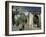 Gedi Ruins, Malindi, Kenya, East Africa, Africa-Upperhall-Framed Photographic Print