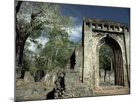 Gedi Ruins, Malindi, Kenya, East Africa, Africa-Upperhall-Mounted Photographic Print