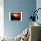 Geduld: Motivationsposter Mit Inspirierendem Zitat-null-Framed Photographic Print displayed on a wall
