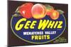 Gee Whiz Label-null-Mounted Premium Giclee Print