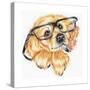 Geek Pup-Karen Middleton-Stretched Canvas