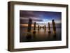 geelong-1-Lincoln Harrison-Framed Photo