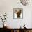 Geena Davis-null-Framed Photo displayed on a wall