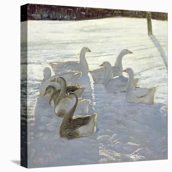 Geese Against the Light-Timothy Easton-Stretched Canvas