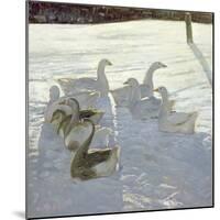 Geese Against the Light-Timothy Easton-Mounted Giclee Print