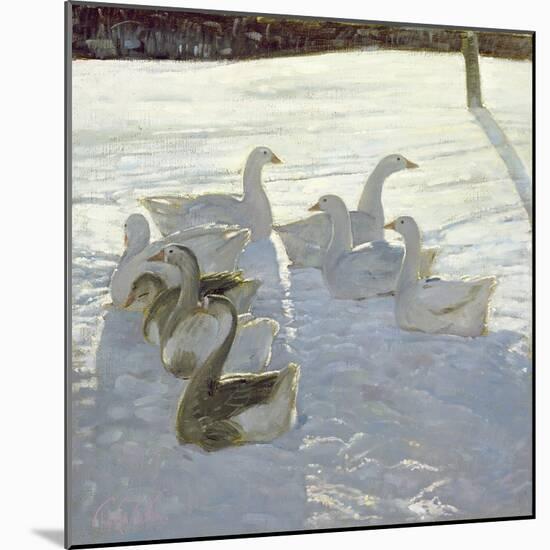 Geese Against the Light-Timothy Easton-Mounted Giclee Print