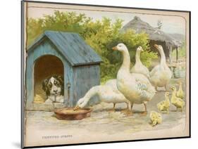 Geese and a Kenneled Dog-null-Mounted Art Print