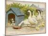 Geese and a Kenneled Dog-null-Mounted Art Print