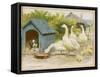 Geese and a Kenneled Dog-null-Framed Stretched Canvas