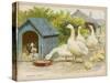 Geese and a Kenneled Dog-null-Stretched Canvas