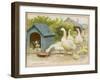 Geese and a Kenneled Dog-null-Framed Art Print