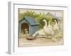 Geese and a Kenneled Dog-null-Framed Art Print