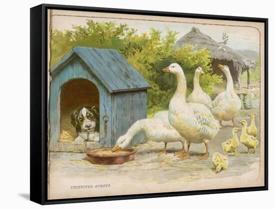 Geese and a Kenneled Dog-null-Framed Stretched Canvas