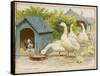 Geese and a Kenneled Dog-null-Framed Stretched Canvas