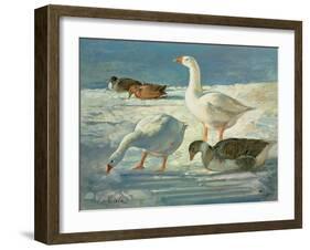 Geese and Mallards, 2000-Timothy Easton-Framed Giclee Print