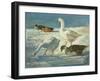 Geese and Mallards, 2000-Timothy Easton-Framed Giclee Print