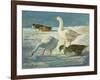 Geese and Mallards, 2000-Timothy Easton-Framed Giclee Print