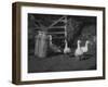 Geese and Milk Churns-null-Framed Photographic Print