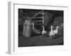 Geese and Milk Churns-null-Framed Photographic Print