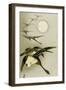 Geese and the Moon-Koson Ohara-Framed Giclee Print