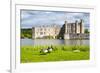 Geese at Leeds Castle, Maidstone, Kent, England, United Kingdom, Europe-Matthew Williams-Ellis-Framed Photographic Print