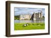 Geese at Leeds Castle, Maidstone, Kent, England, United Kingdom, Europe-Matthew Williams-Ellis-Framed Photographic Print