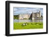 Geese at Leeds Castle, Maidstone, Kent, England, United Kingdom, Europe-Matthew Williams-Ellis-Framed Photographic Print