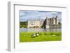 Geese at Leeds Castle, Maidstone, Kent, England, United Kingdom, Europe-Matthew Williams-Ellis-Framed Photographic Print