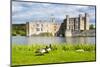 Geese at Leeds Castle, Maidstone, Kent, England, United Kingdom, Europe-Matthew Williams-Ellis-Mounted Photographic Print