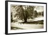 Geese at the Pond I-Alan Hausenflock-Framed Photographic Print