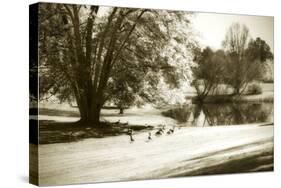 Geese at the Pond II-Alan Hausenflock-Stretched Canvas