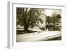 Geese at the Pond II-Alan Hausenflock-Framed Photographic Print