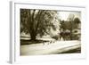 Geese at the Pond II-Alan Hausenflock-Framed Photographic Print