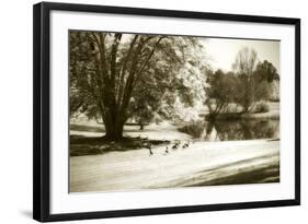 Geese at the Pond II-Alan Hausenflock-Framed Photographic Print
